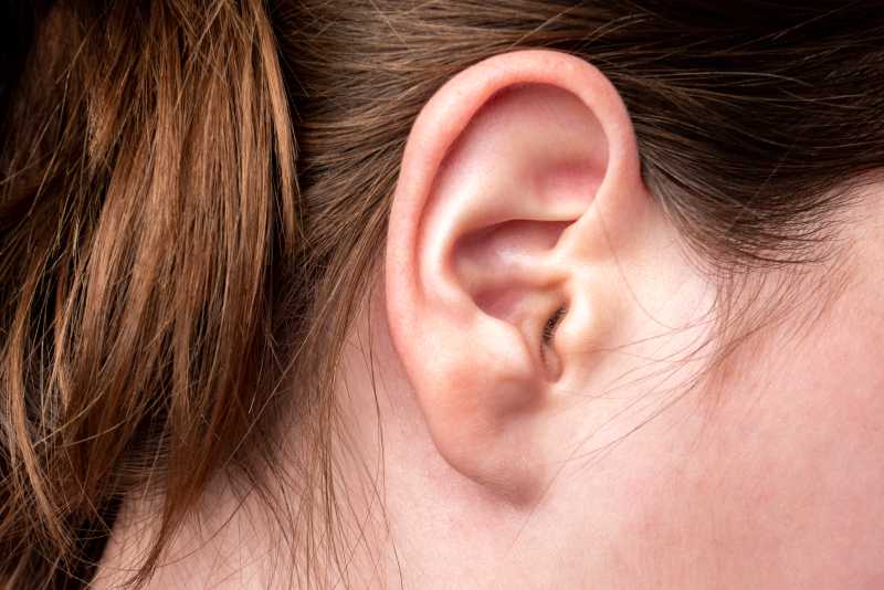 female ear