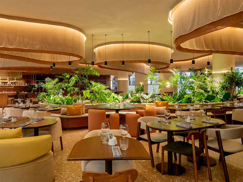 img_Pullman_9_800_x_600